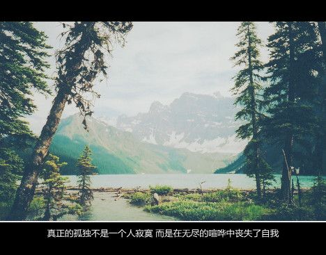 天涯海角永相依，情牵相思的雨帘